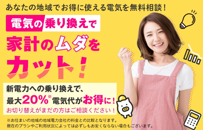 電気の乗り換え窓口
