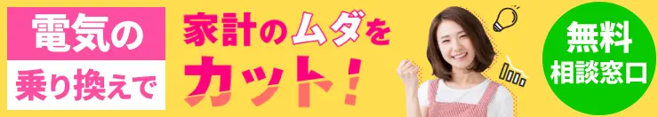 電気の乗り換えで家計のムダをカット